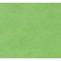 Linkstar fleecedoek FD-109 3 x 6 m chroma groen